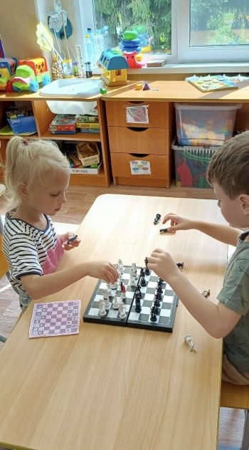 «Шахматное королевство»